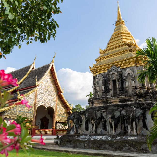 Wat Chiang Man, Chiang Mai